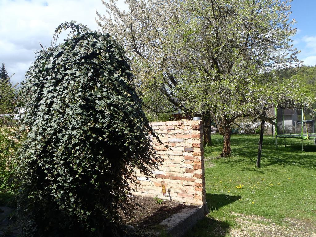 Penzion Villa Marion Mariánské Lázně Exterior foto